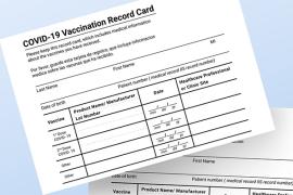 stock photo of vaccine record card