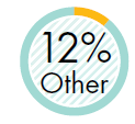 12% Other