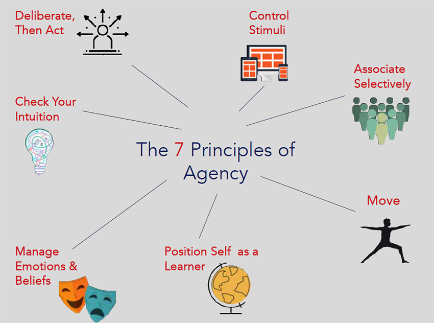 The 7 Principles of Agency chart