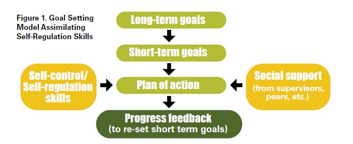  Goal Setting Model Assimilating Self-Regulation Skills