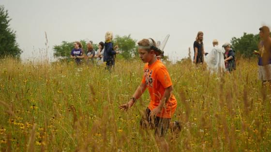 Campers in field with tall grass
