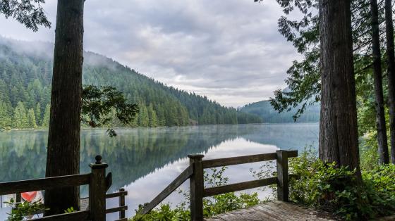 Camp Property on a lake