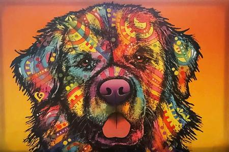 Artwork of Kim Brosnan's dog, Finn
