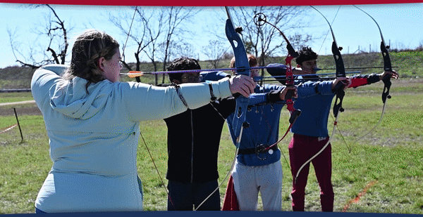 animated image with archers