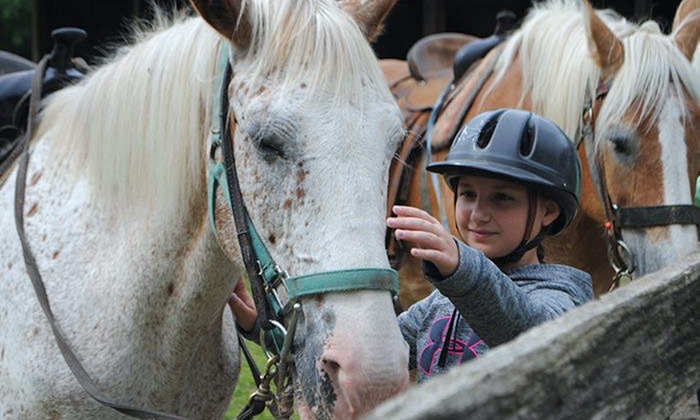 camper with horse