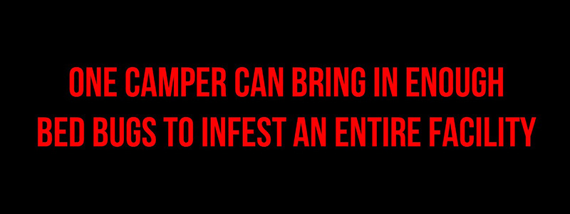 One Camper Can Bring in Enough Bed Bugs to Infest an Entire Facility