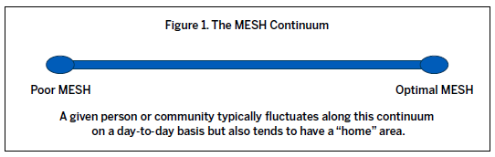 MESH continuum