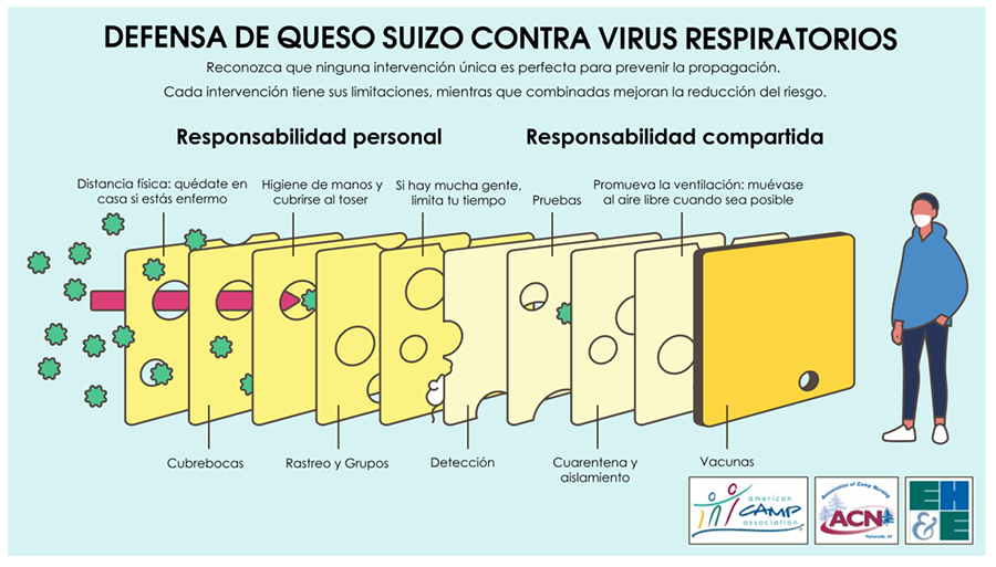 Defensa de Queso Suizo Contra Virus Respiratorios