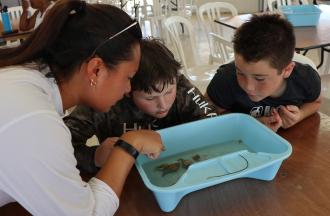 counselor with campers looking at objects in water