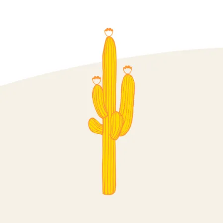 Yellow cactus