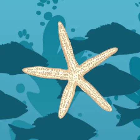 Starfish
