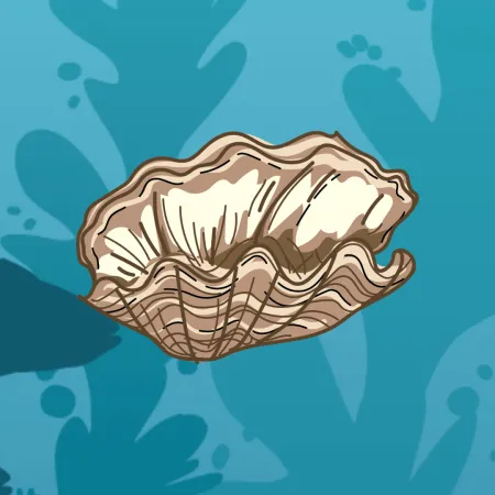 Clam Shell