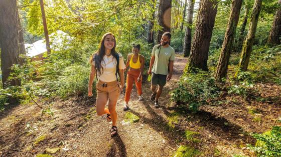 Young adults walking on trail in woods