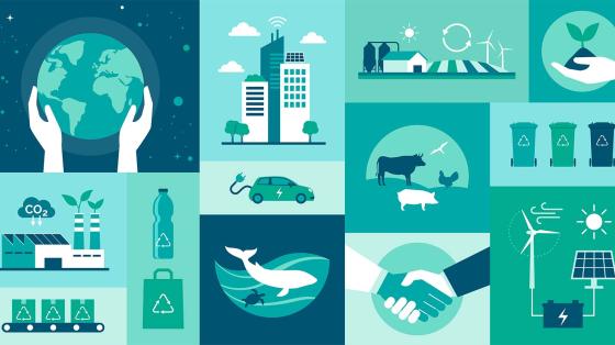 Illustration of eco-friendly items