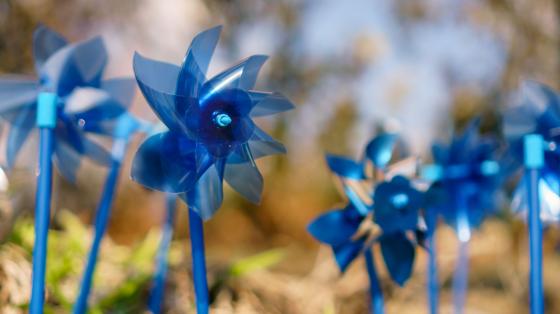 Blue pinwheels