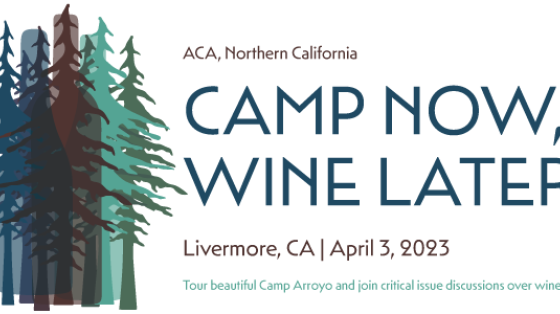 Camp Now Wine Later logo