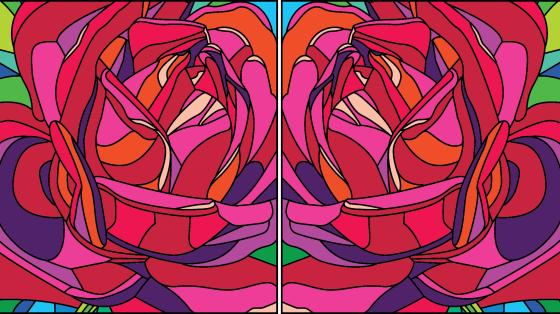 Illustrations of roses reflecting