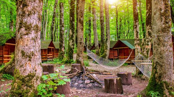 cabins in the woods