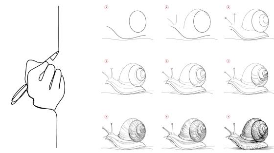 Drawing progression of snails
