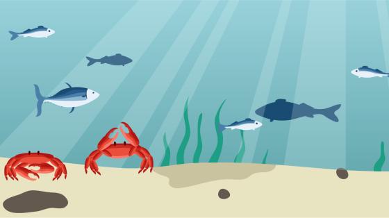 bottom of ocean illustration