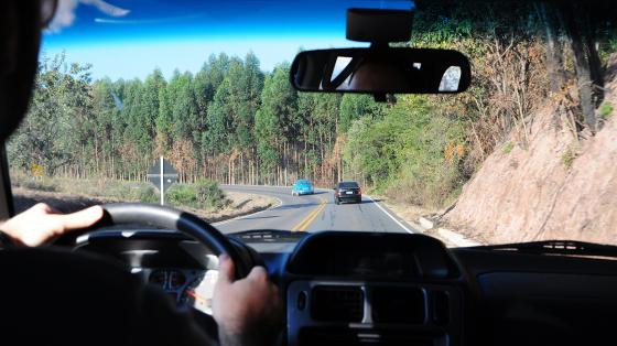 Driver with others cars visible through windshield