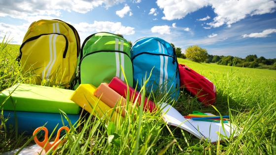 backpacks in grass
