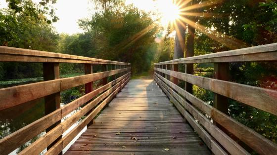 bridge