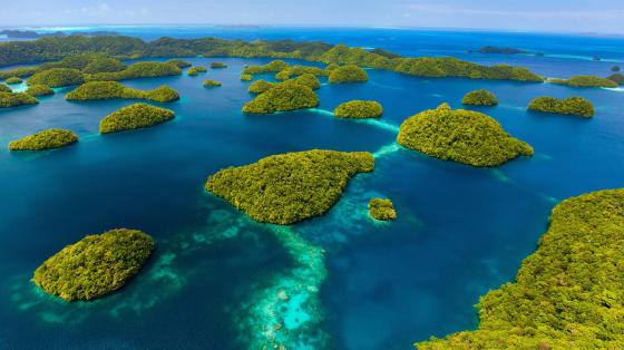 Shot of Palau Rock Islands