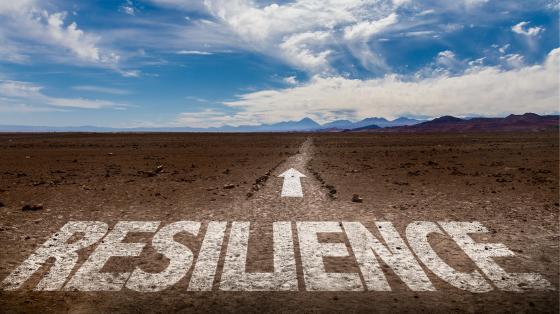 Resilience written in sand