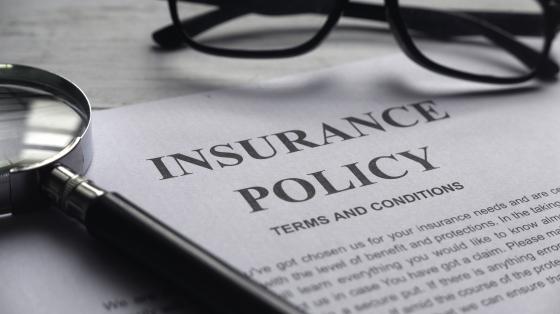 notebook that reads insurance policy