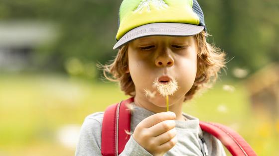 camper blowin dandelion