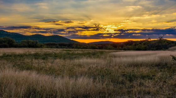Texas Hill Country sunrise