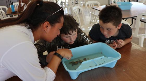 counselor with campers looking at objects in water