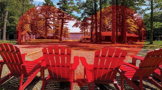 Adirondack chairs