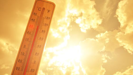 Thermometer 