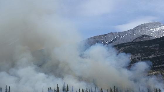 wildfire smoke