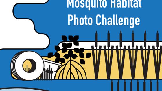 Mosquito Habitat Photo Challenge illustration