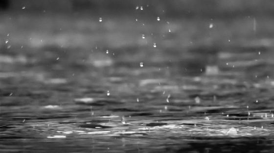 Rain falling in puddle