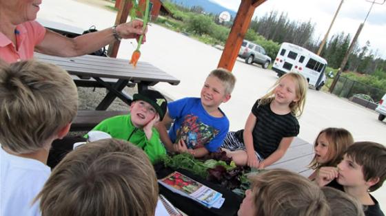 Campers learning about gardening