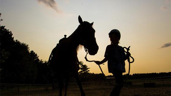 Silhouette of a camper and horse at sunset