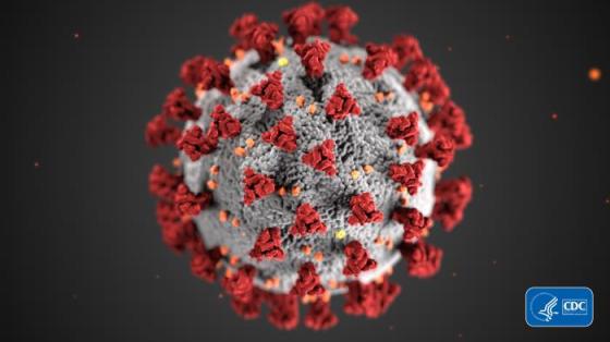 Coronavirus illustration from CDC/ Alissa Eckert, MS