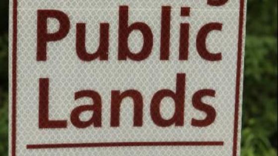 Public Lands Use