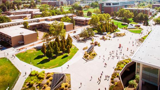 Ariel view of a university campus