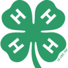 4-H logo