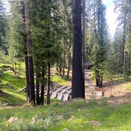 Enchanted Hills