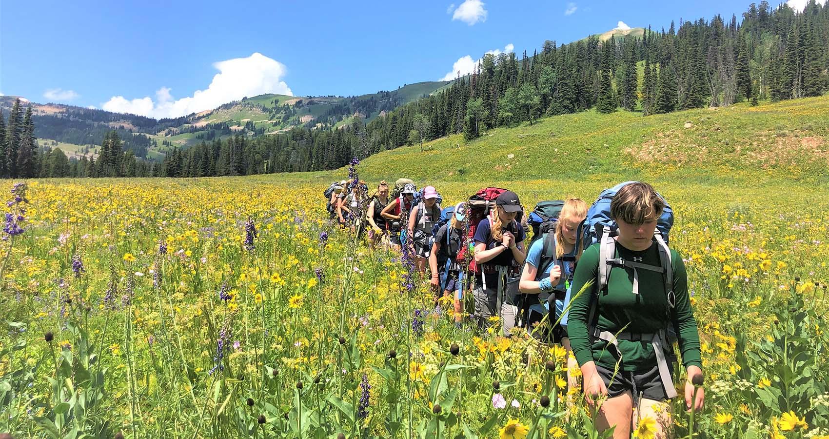 Backpackers hiking through wildflowers