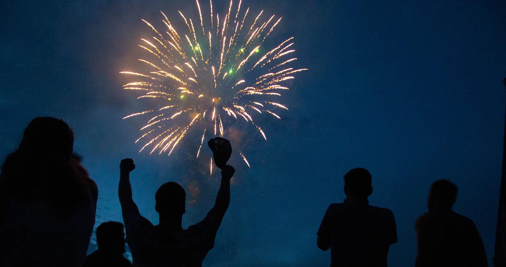 firework in night sky