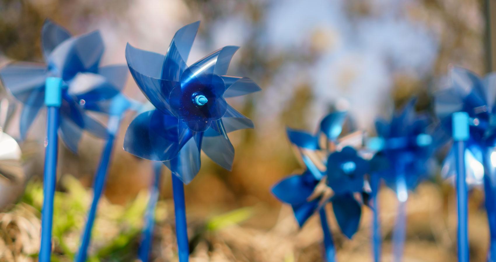 Blue pinwheels