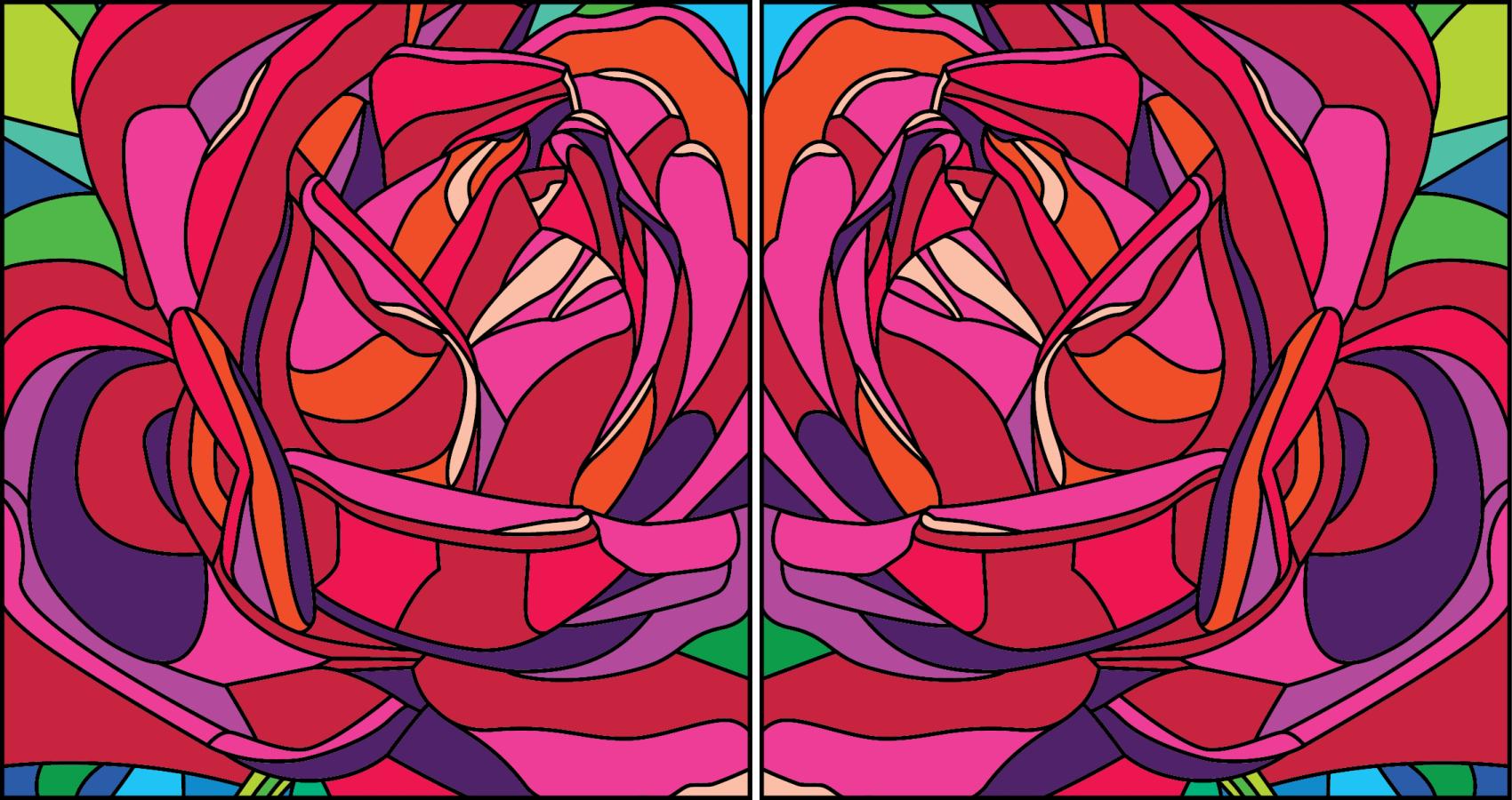 Illustrations of roses reflecting