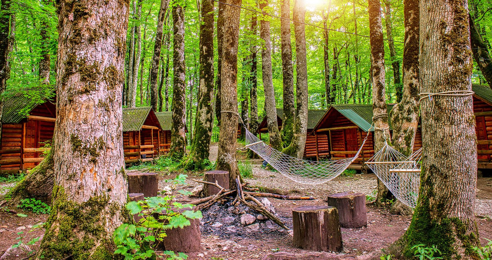 cabins in the woods